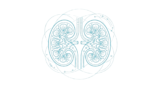 3D Renal Genomics Visualization