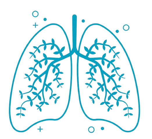 3D Genomic Lung Visualization