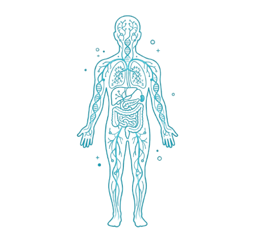 Hereditary metabolic disorders genomic visualization