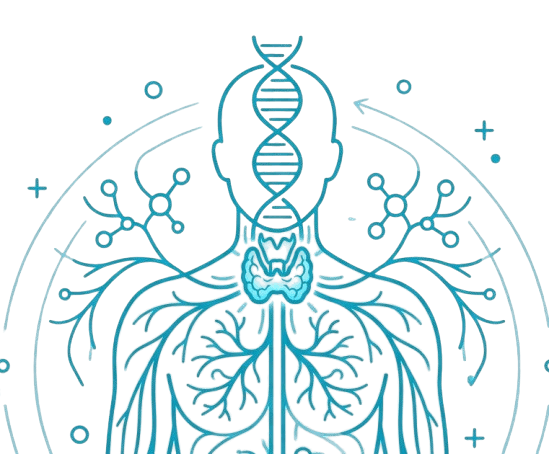 Hereditary thyroid disorders genomic visualization